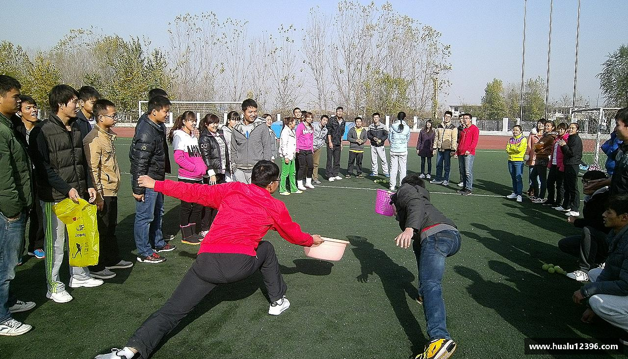 6686分析专业品质，打造精彩！